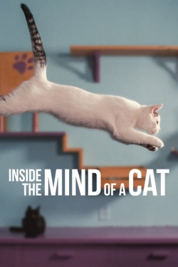 Watch Inside the Mind of a Cat movies free hd online