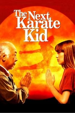 Watch The Next Karate Kid movies free hd online