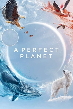 Watch A Perfect Planet movies free hd online