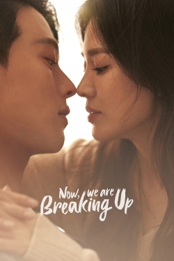 Watch Now, We Are Breaking Up movies free hd online