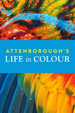 Watch Attenborough's Life in Colour movies free hd online