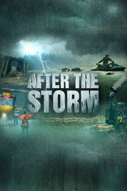 Watch After the Storm movies free hd online