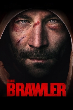 Watch The Brawler movies free hd online