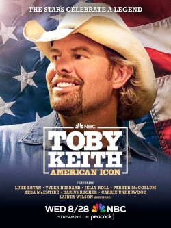 Watch Toby Keith: American Icon movies free hd online