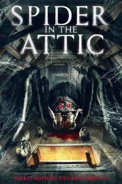 Watch Spider in the Attic movies free hd online