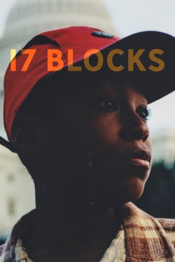 Watch 17 Blocks movies free hd online