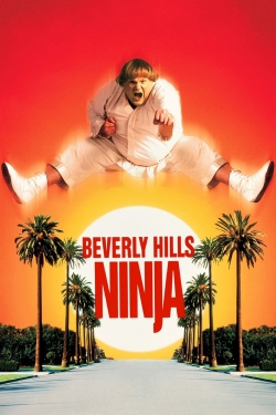 Watch Beverly Hills Ninja movies free hd online