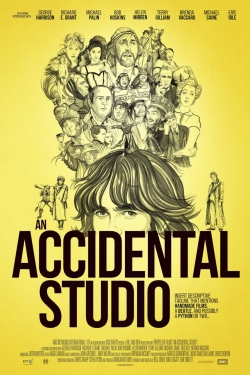 Watch An Accidental Studio movies free hd online