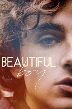 Watch Beautiful Boy movies free hd online