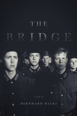 Watch The Bridge movies free hd online