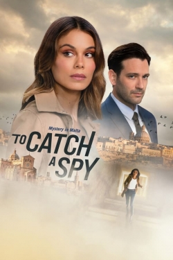 Watch To Catch a Spy movies free hd online