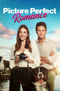 Watch Picture Perfect Romance movies free hd online