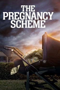 Watch The Pregnancy Scheme movies free hd online