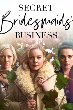 Watch Secret Bridesmaids' Business movies free hd online