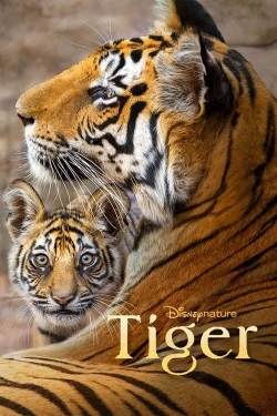 Watch Tiger movies free hd online