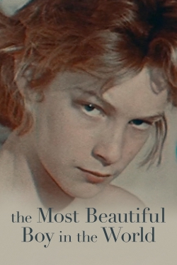 Watch The Most Beautiful Boy in the World movies free hd online