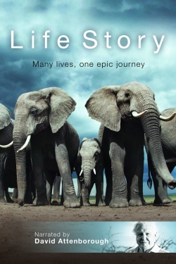 Watch Life Story movies free hd online