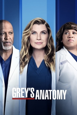 Watch Grey's Anatomy movies free hd online