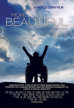 Watch More Beautiful for Having Been Broken movies free hd online