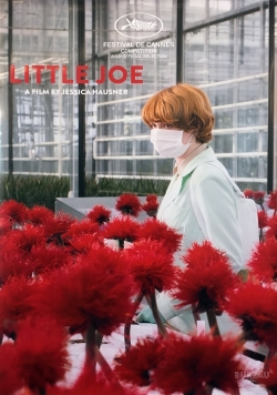 Watch Little Joe movies free hd online