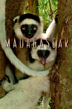 Watch Madagascar movies free hd online