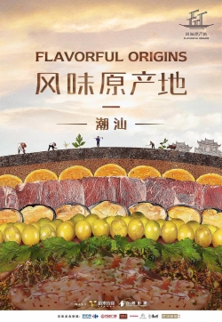 Watch Flavorful Origins movies free hd online