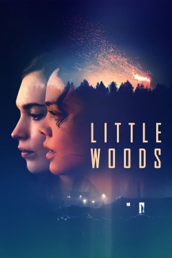 Watch Little Woods movies free hd online