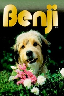 Watch Benji movies free hd online