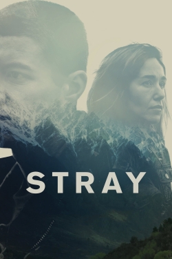 Watch Stray movies free hd online