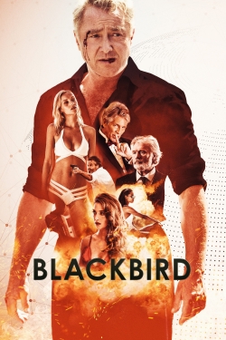 Watch Blackbird movies free hd online