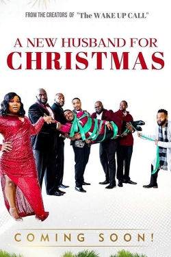 Watch A New Husband for Christmas movies free hd online