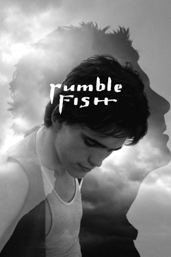 Watch Rumble Fish movies free hd online