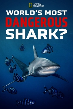 Watch World's Most Dangerous Shark? movies free hd online