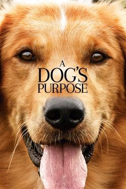 Watch A Dog's Purpose movies free hd online