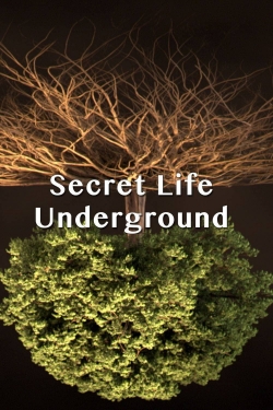 Watch Secret Life Underground movies free hd online