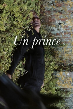 Watch A Prince movies free hd online