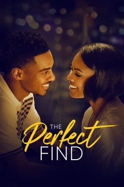 Watch The Perfect Find movies free hd online