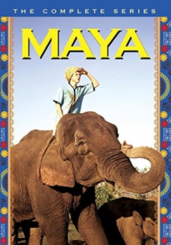 Watch Maya movies free hd online