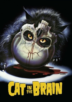 Watch A Cat in the Brain movies free hd online