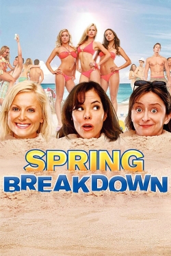 Watch Spring Breakdown movies free hd online