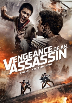 Watch Vengeance of an Assassin movies free hd online