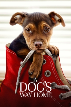 Watch A Dog's Way Home movies free hd online