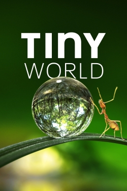 Watch Tiny World movies free hd online