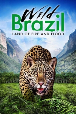 Watch Wild Brazil movies free hd online