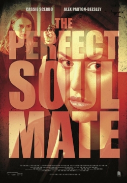 Watch The Perfect Soulmate movies free hd online