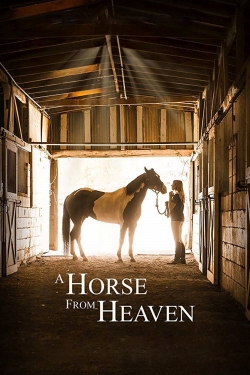 Watch A Horse from Heaven movies free hd online