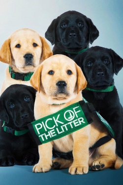 Watch Pick of the Litter movies free hd online